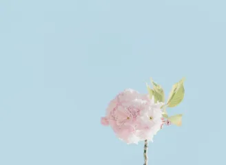 捷报比分