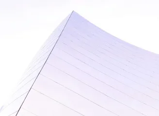 捷报比分