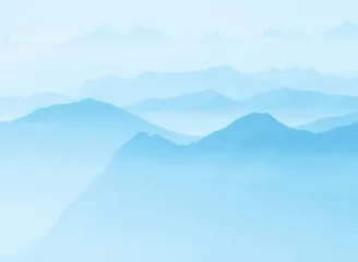捷报比分
